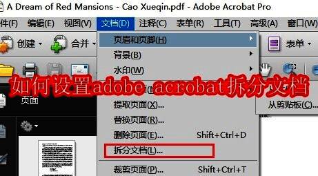 软件主界面展示，清晰可见拆分文档功能位置
