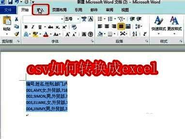 Word文档界面截图，显示插入表格功能位置
