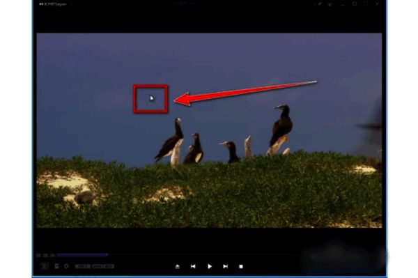 KMPlayer Plus右键菜单界面展示，显示选项按钮位置