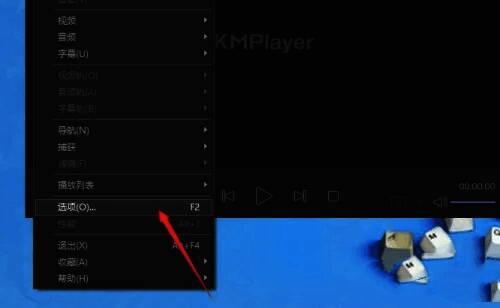 选项窗口左侧菜单展开，内部滤镜条目被高亮显示