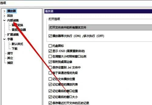 内部滤镜设置界面，视频解码器按钮位于中间区域