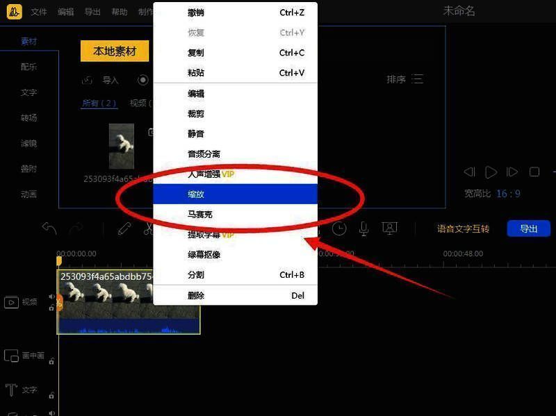 右键菜单显示缩放选项被选中