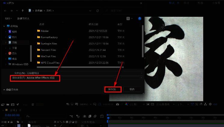 保存设置窗口截图，重点标注文件类型选择区域
