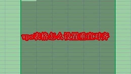 WPS表格界面展示，用户正在选择单元格区域