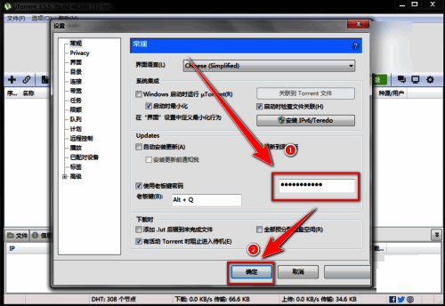 密码输入框已填写示例密码，界面提示用户输入自定义内容