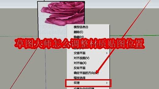 草图大师界面截图，显示右键菜单中的纹理选项