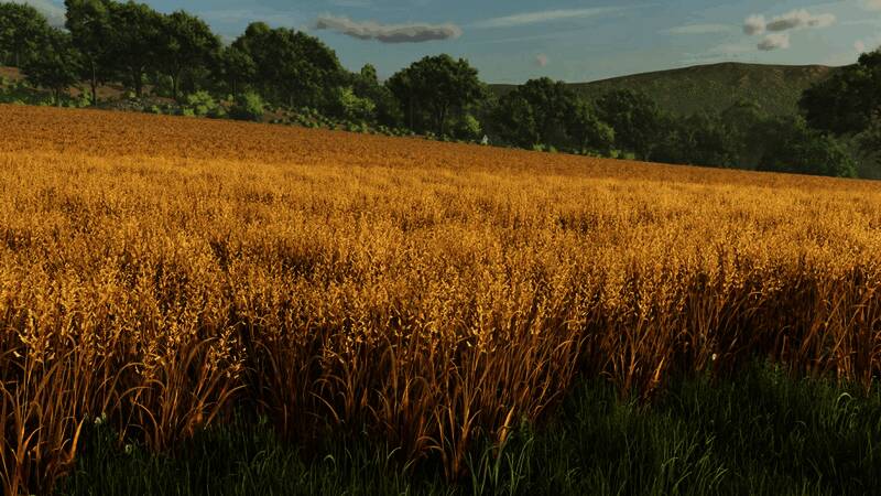 游戏中新增的东亚地区稻田场景，整齐划一的稻田与植被繁茂的环境