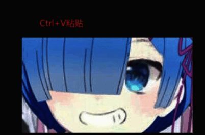 图像成功粘贴至PS画布上的效果展示