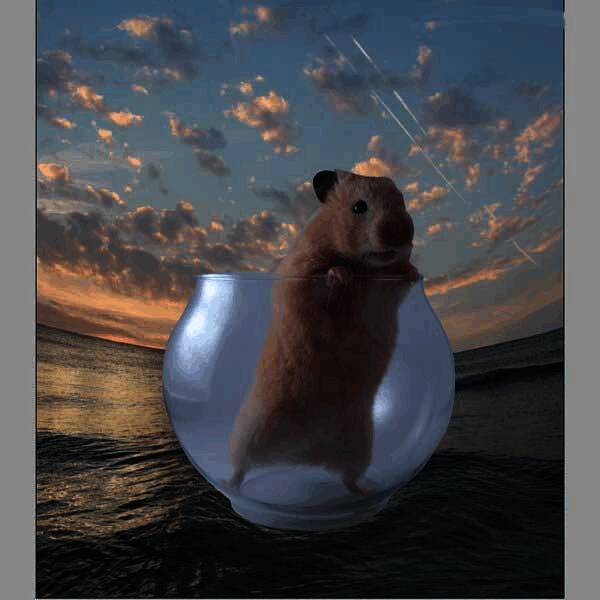 仓鼠主体被精确抠取并放置在海洋中央的画面