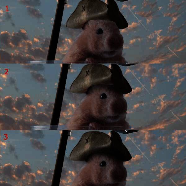 佩戴海盗帽的仓鼠形象初步成型展示