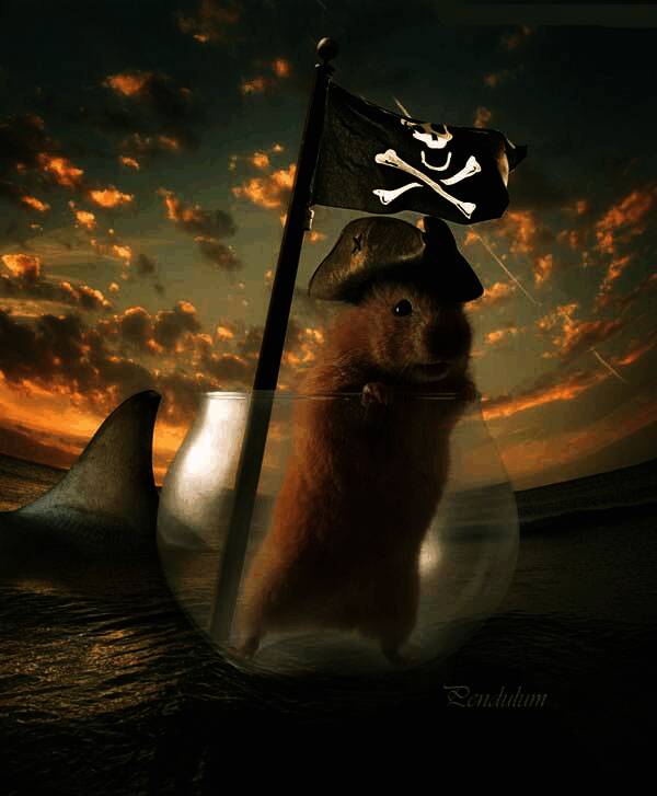 最终完成的海盗鼠船长合成作品展示图