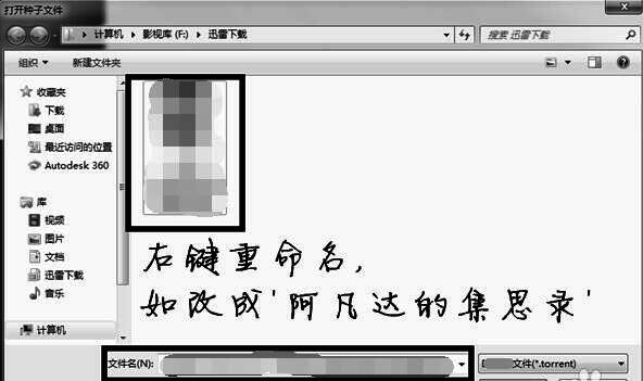 文件重命名界面截图，显示自定义命名过程