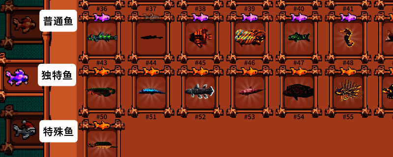 《全球鱼友俱乐部》鱼类展示图，展示多种不同颜色与形态的鱼种