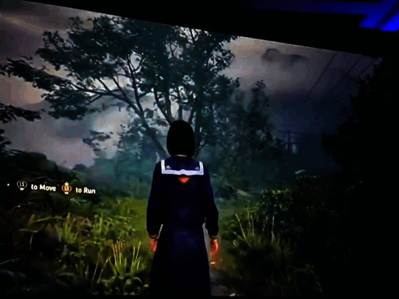 《寂静岭f》游戏截图，昏暗街道下隐约可见诡异身影