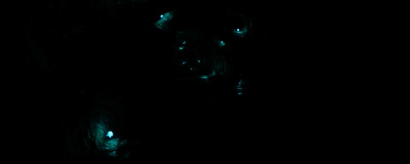 游戏中场景细节丰富，光影效果逼真，展现出高品质的画面表现力