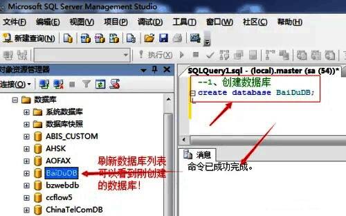 SQL Server 2008执行结果展示界面，左侧显示新增数据库名称