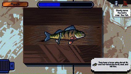 玩家正在处理钓上来的鱼，屏幕显示操作提示与进度条