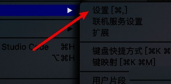 文本编辑器设置入口截图