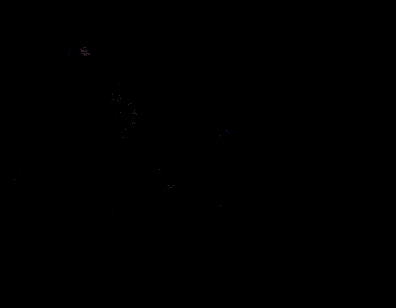 执行者战斗动作演示图，展现其高速连击与出血特效