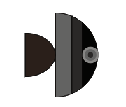 最终绘制完成的小鱼效果图，呈现出完整的卡通风格造型