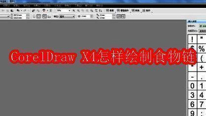 CorelDRAW X4界面展示，软件主工具栏清晰可见