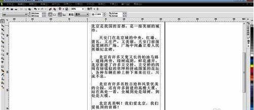 CorelDraw X4界面展示，工具栏清晰可见