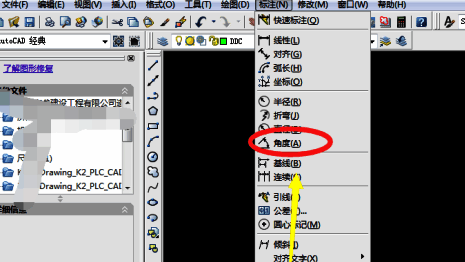 角度标注设置界面，显示可选参数