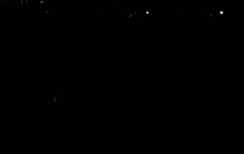 完成文字插入后的图纸效果，展示正确显示的文字内容