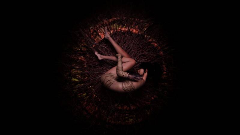 游戏内预购奖励武器与服装展示图，多种风格混搭呈现