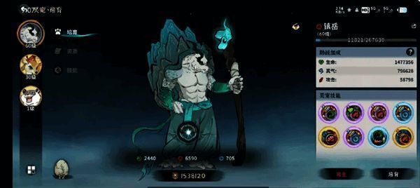 冰修宠物推荐图一：乌龟技能展示，护盾覆盖全场