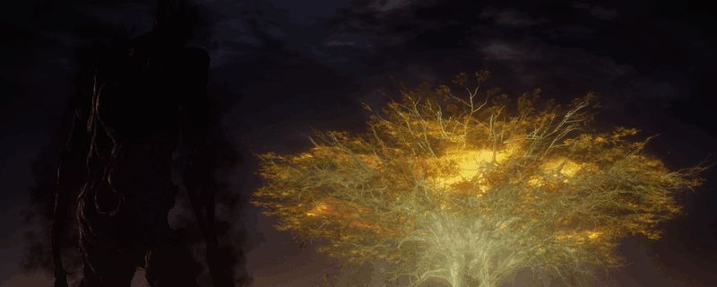 艾尔登法环黑夜君临游戏地图展示多个固定地标位置