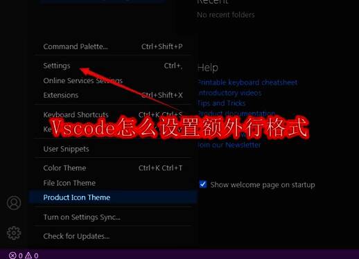 Vscode界面左下角显示多个快捷图标，鼠标指针悬停在一个图标上