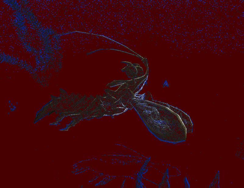 玩家近身格斗击败水中怪物，战斗场面紧张刺激