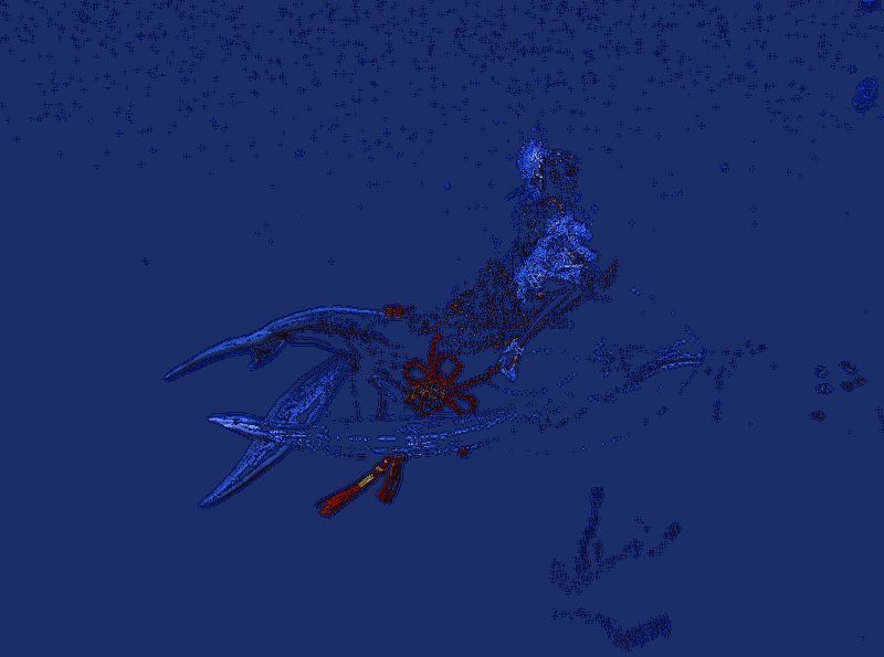 逆戟鲸水中回旋动作演示，动态表现自然流畅