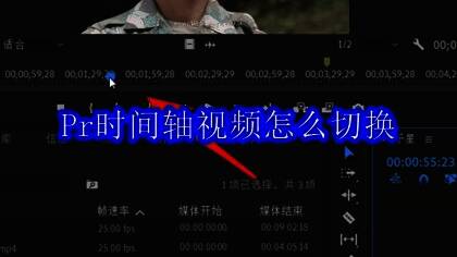 Adobe Premiere Pro主界面展示，左侧为项目面板，右侧为时间轴区域