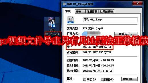 Adobe Premiere Pro界面截图显示导出失败的小体积视频