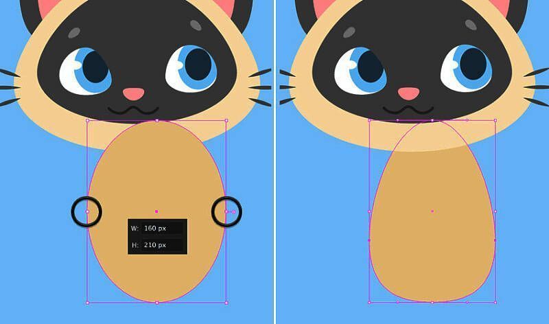 猫咪身体轮廓绘制与比例调整示例