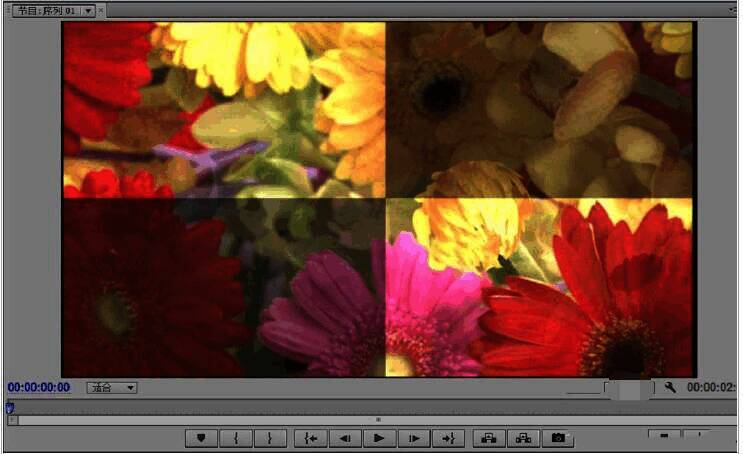 Premiere节目监视器显示应用棋盘效果后的视频预览画面