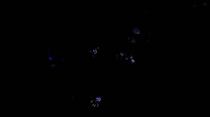 剧情插画呈现推理先生与神秘人物在观星会中的对峙场景