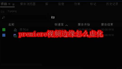 Premiere界面展示，项目面板中显示已导入的视频素材