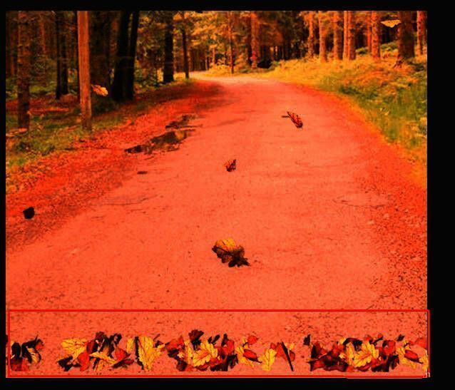 视频预览画面展示落叶边缘生硬的情况