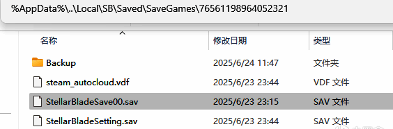 存档文件夹内截图，显示多个以Save开头的存档文件列表