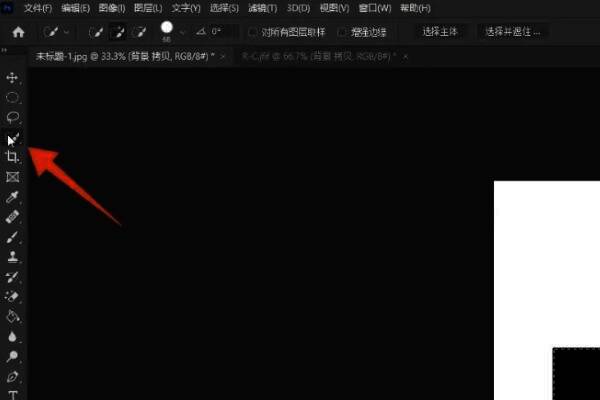 使用快速选择工具对图像进行选取，选区清晰可见