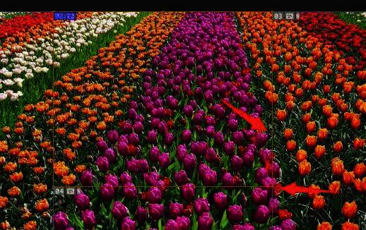 Photoshop切片调整示意图，显示可拖动的边界线