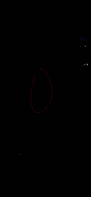 木雕少女被放置于屏风上，触发特效动画