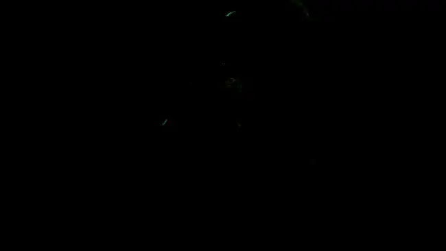 开发者David Brevik与Chris Wilson对话场景截图，讨论游戏机制设计