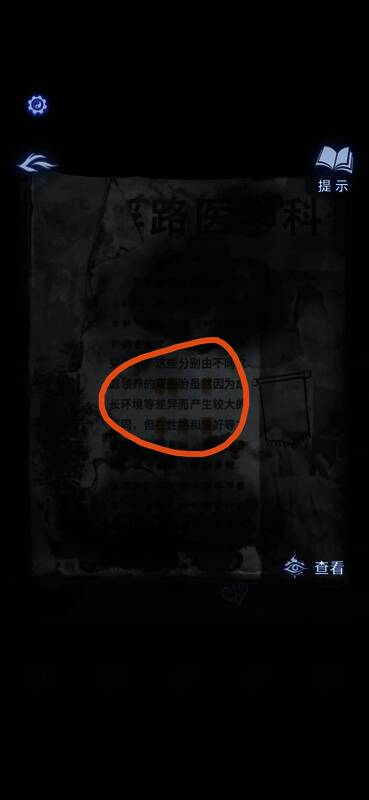 香从柜中取出置于手中