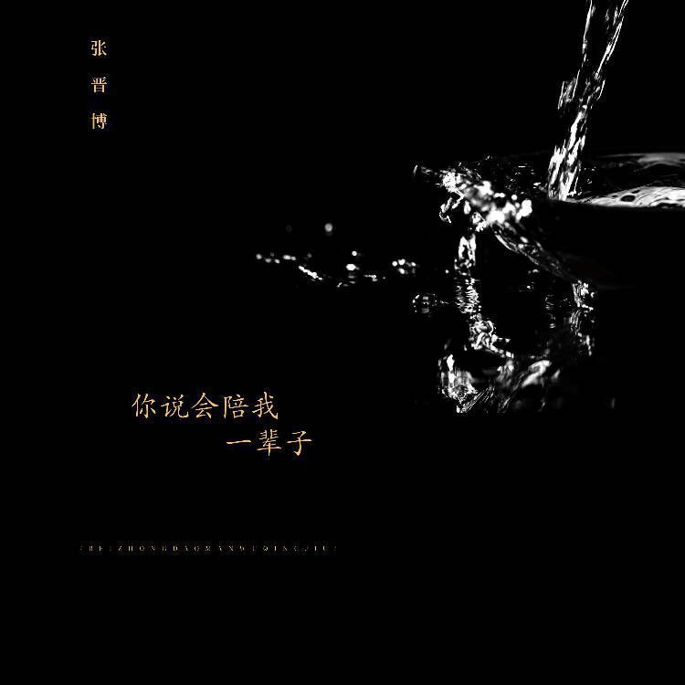 歌曲《你说会陪我一辈子》封面图，背景为黑白风格，文字清晰突出