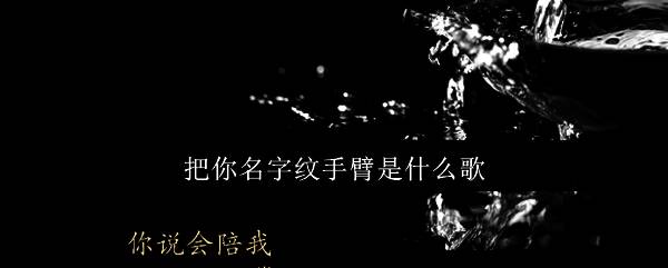 歌词截图，展示“把你名字纹手臂”部分文字，字体清晰易读