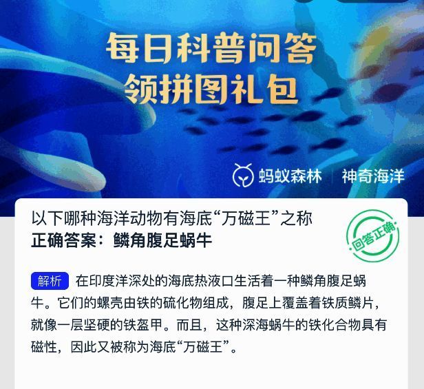神奇海洋答题界面显示今日题目及选项
